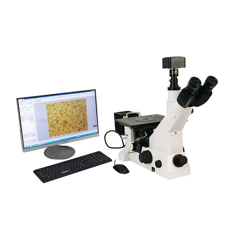 MS900/MS600/MM600 Inverted Metallographic Microscopia