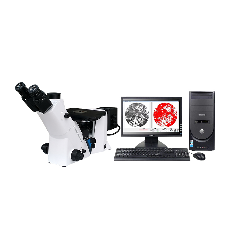 MS900/MS600/MM600 Inverted Metallographic Microscopia