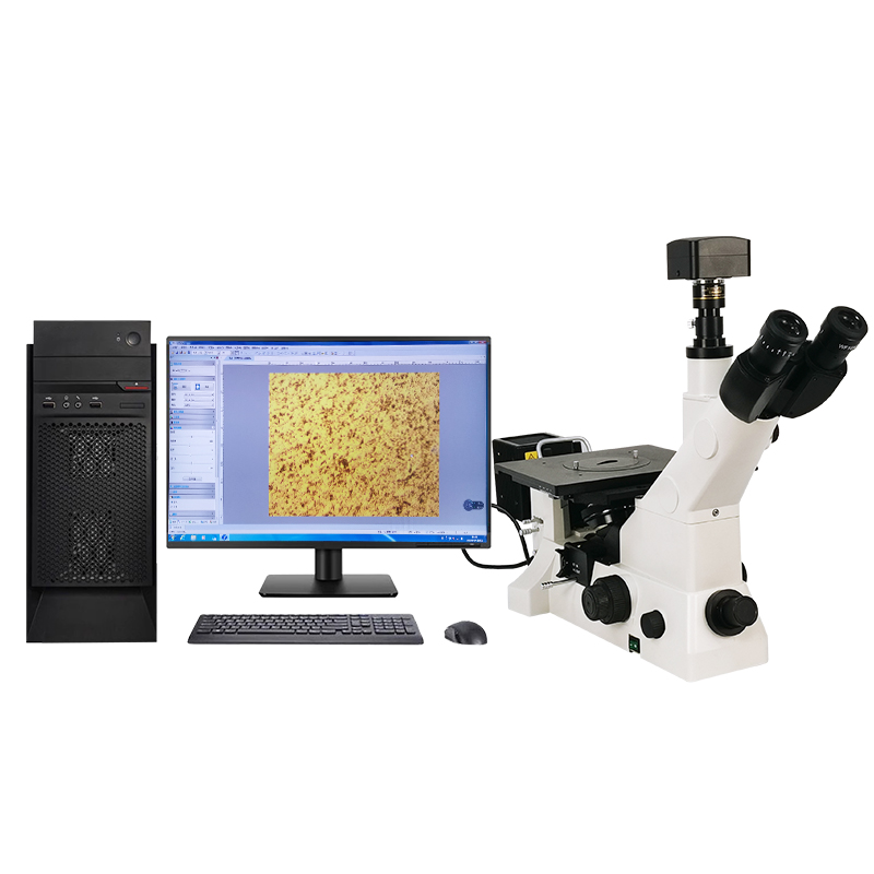 MS900/MS600/MM600 Inverted Metallographic Microscopia